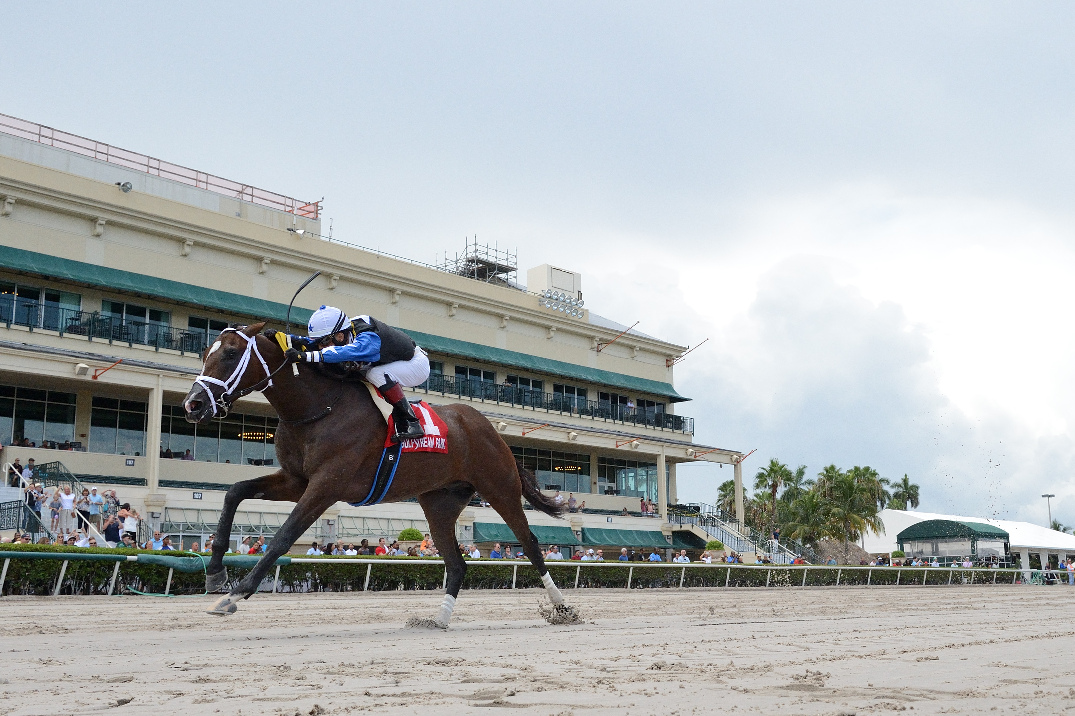 Chance It wins the 2019 FSS Dr. Fager