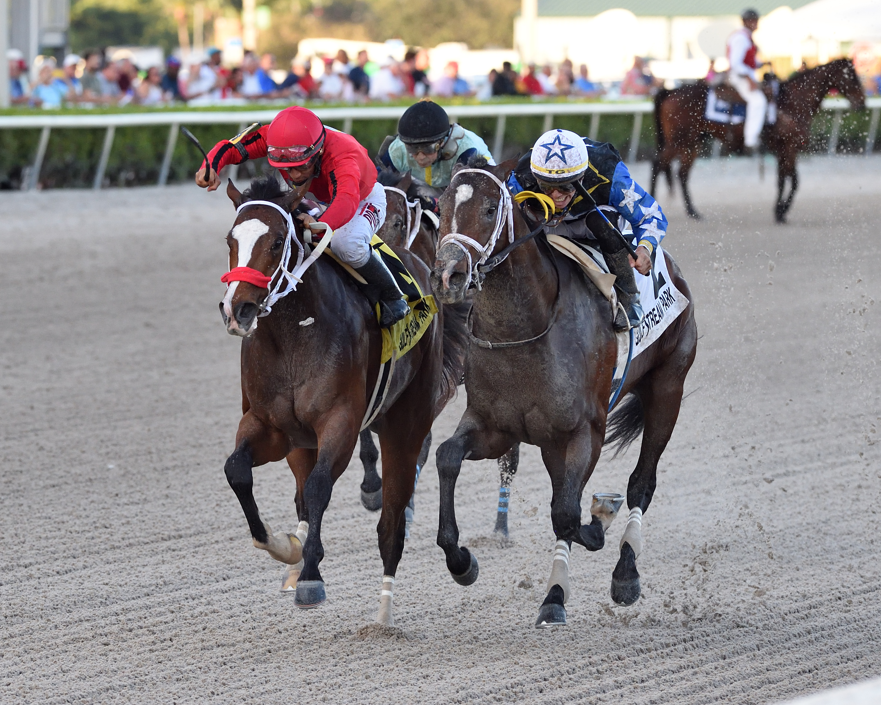 Chance It (right) defeats As Seen On Tv in the 2020 Mucho Macho Man