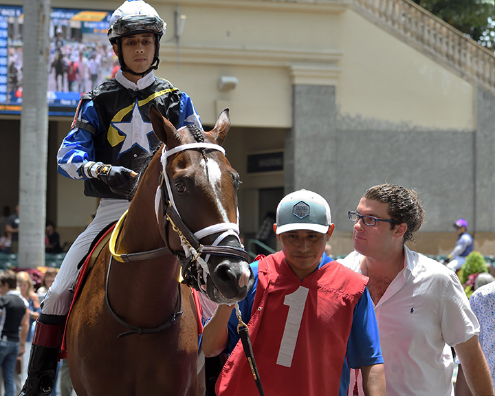 Trainer Saffie Joseph Jr. with Chance It at Gulfstream Park on Aug. 3