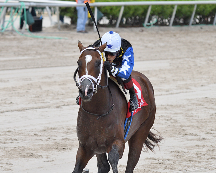 Chance It wins the 2019 Dr Fager at Gulfstream Park