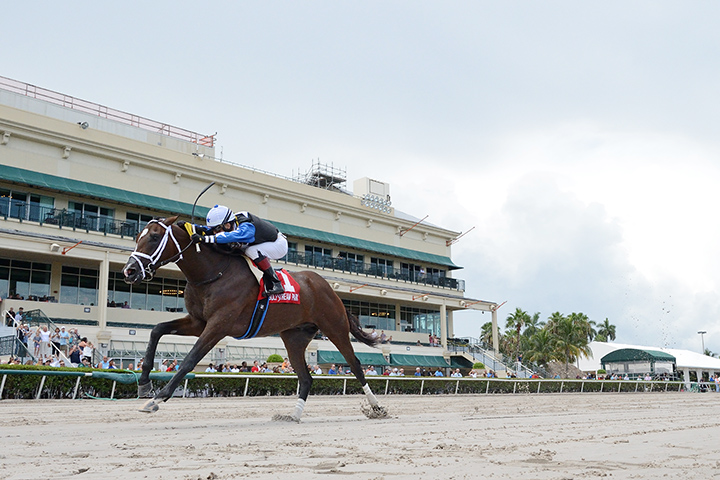 Chance It wins the 2019 Dr Fager at Gulfstream Park