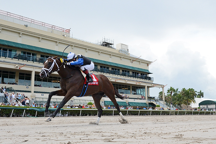 Chance It wins the 2019 Dr Fager at Gulfstream Park