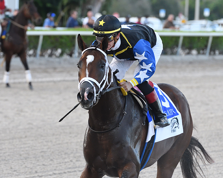 Chance It wins the 2019 In Reality Stakes at Gulfstream Park