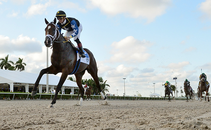 Chance It wins the 2019 In Reality Stakes at Gulfstream Park