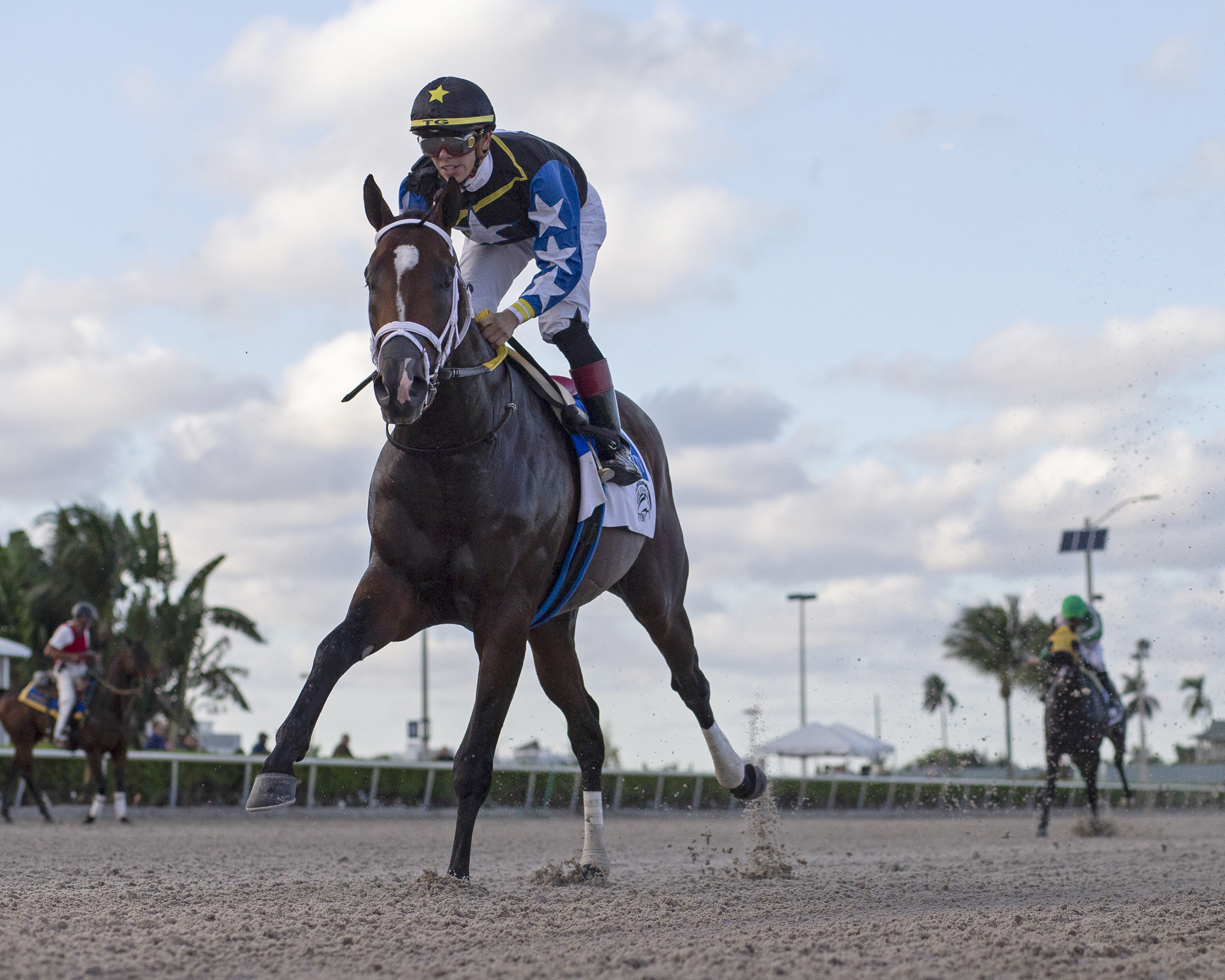 Chance It wins the 2019 In Reality Stakes
