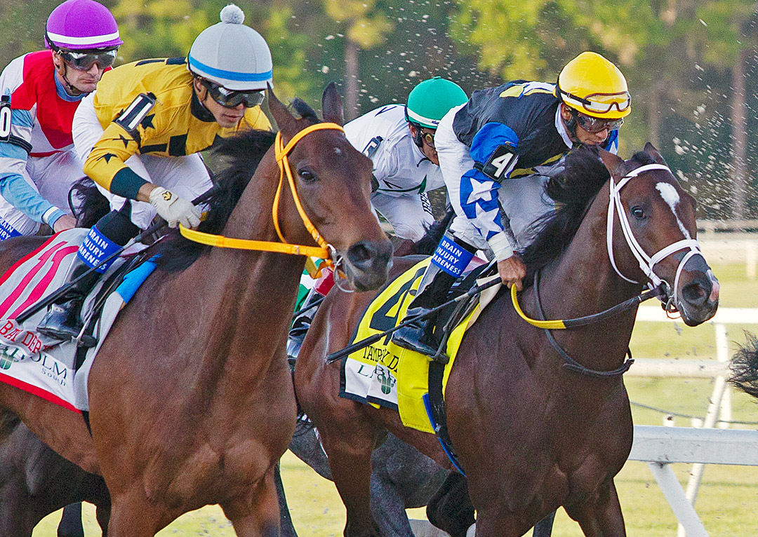 Chance It (right) finished fifth in the 2020 Tampa Bay Derby at Tampa Bay Downs