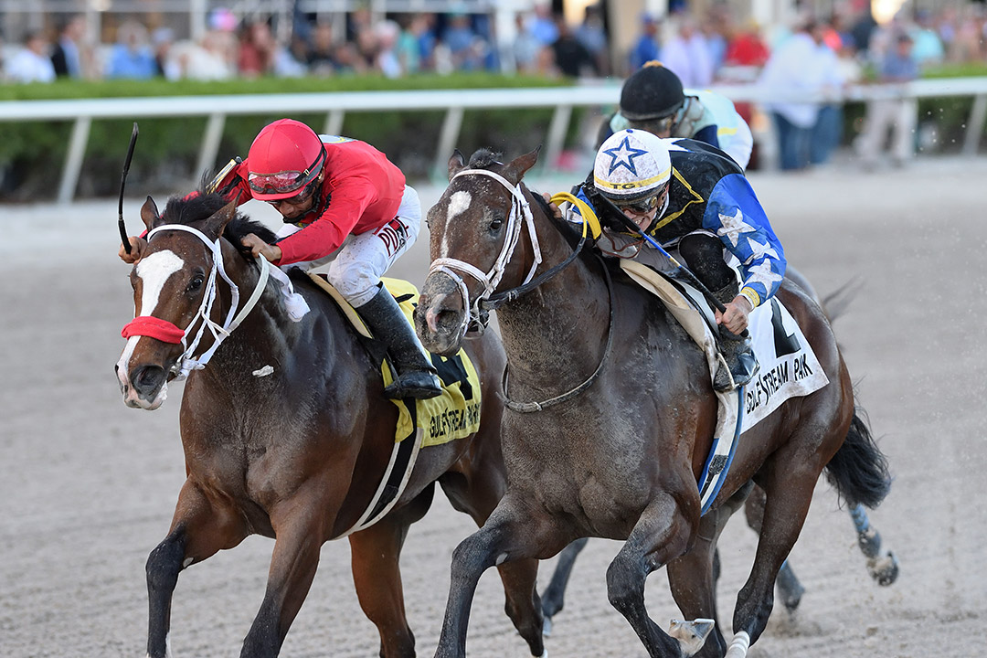 Chance It (right) wins the 2020 Mucho Macho Man Stakes at Gulfstream