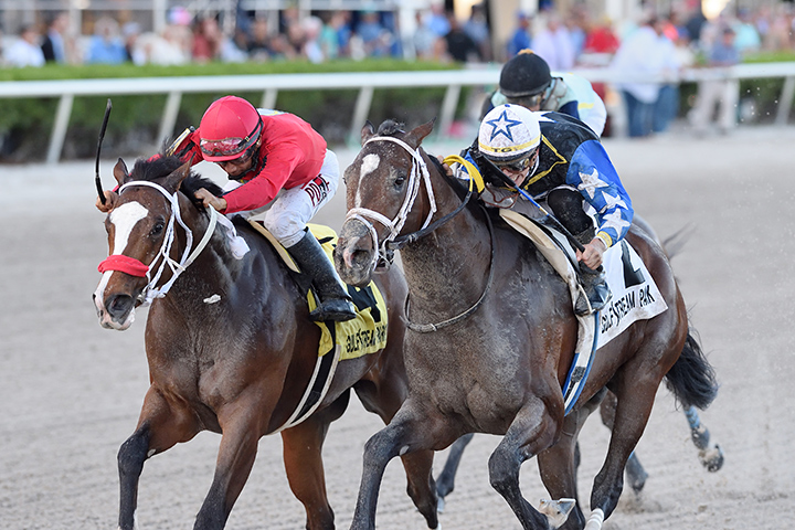 Chance It (right) wins the 2020 Mucho Macho Man Stakes at Gulfstream Park