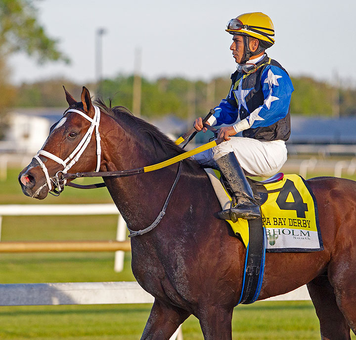 Chance It at Tampa Bay Downs for the Tampa Bay Derby