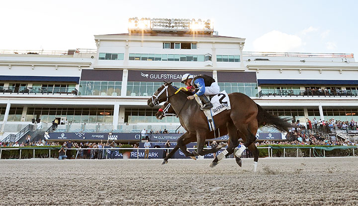 Chance It wins the 2020 Mucho Macho Man Stakes at Gulfstream Park