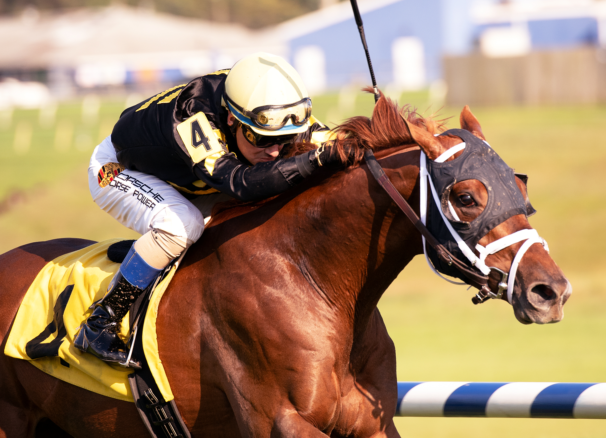 Channel Cat wins the 2018 Bald Eagle Derby