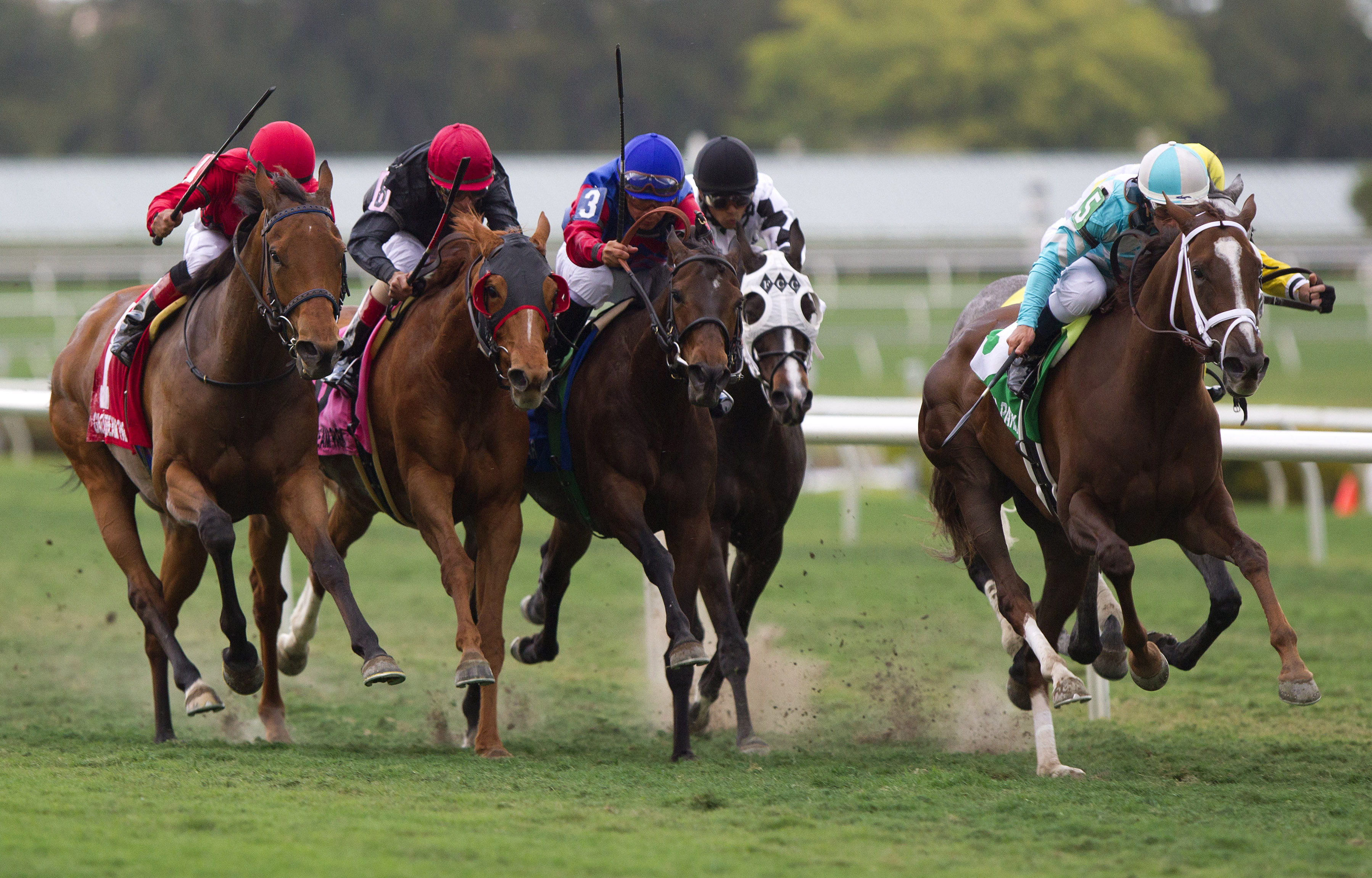 Channel Lady, Suwannee River Stakes