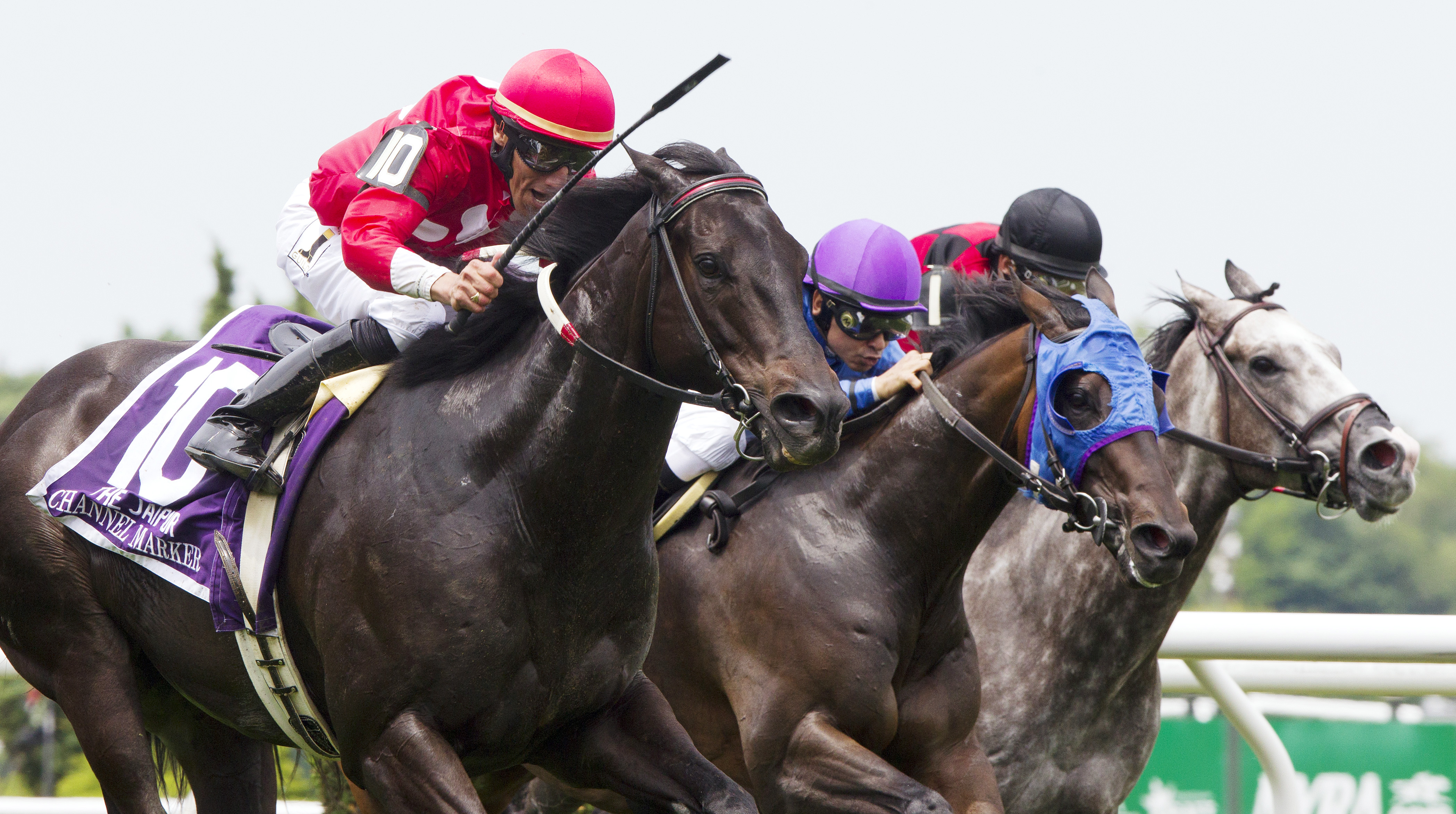 Channel Marker wins the Jaipur