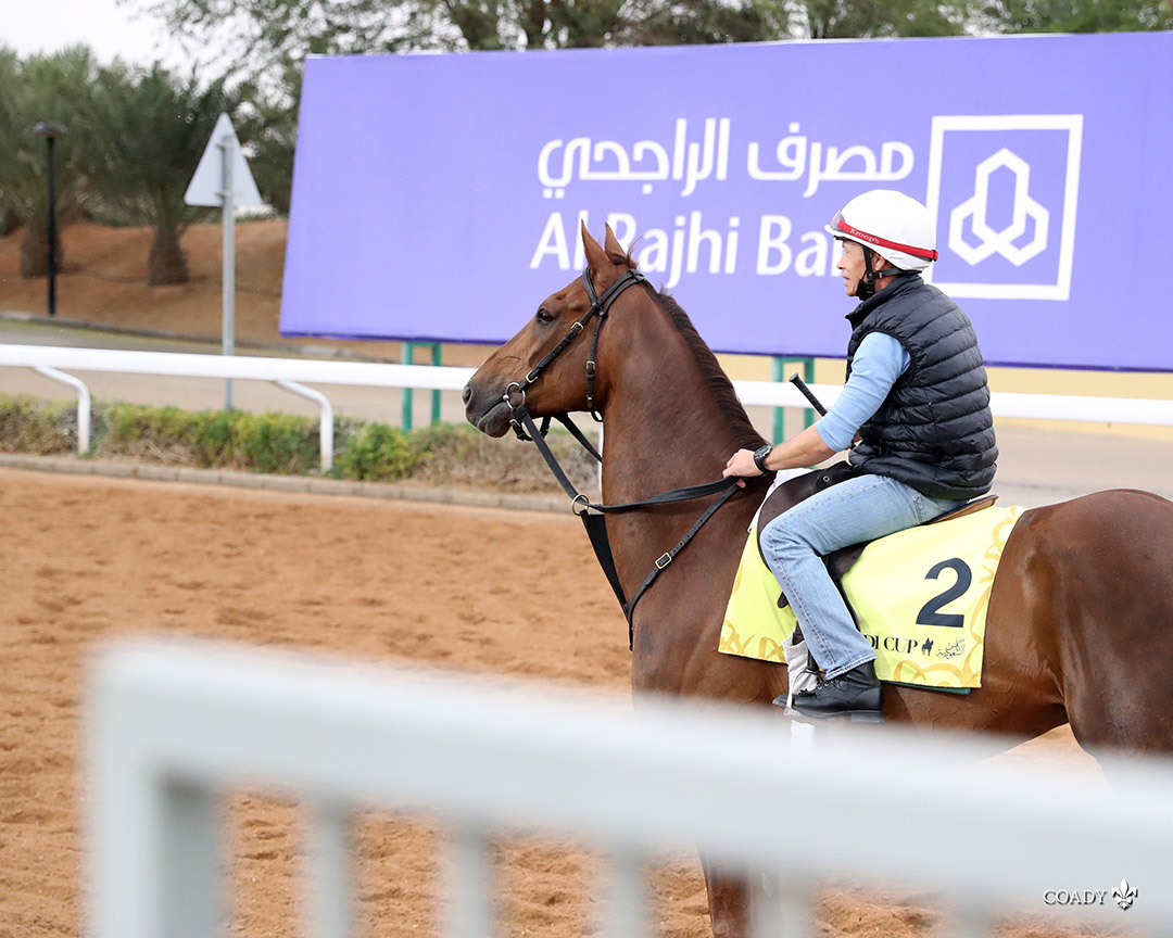 Channel Maker at King Abdulaziz Racetrack on Feb. 18
