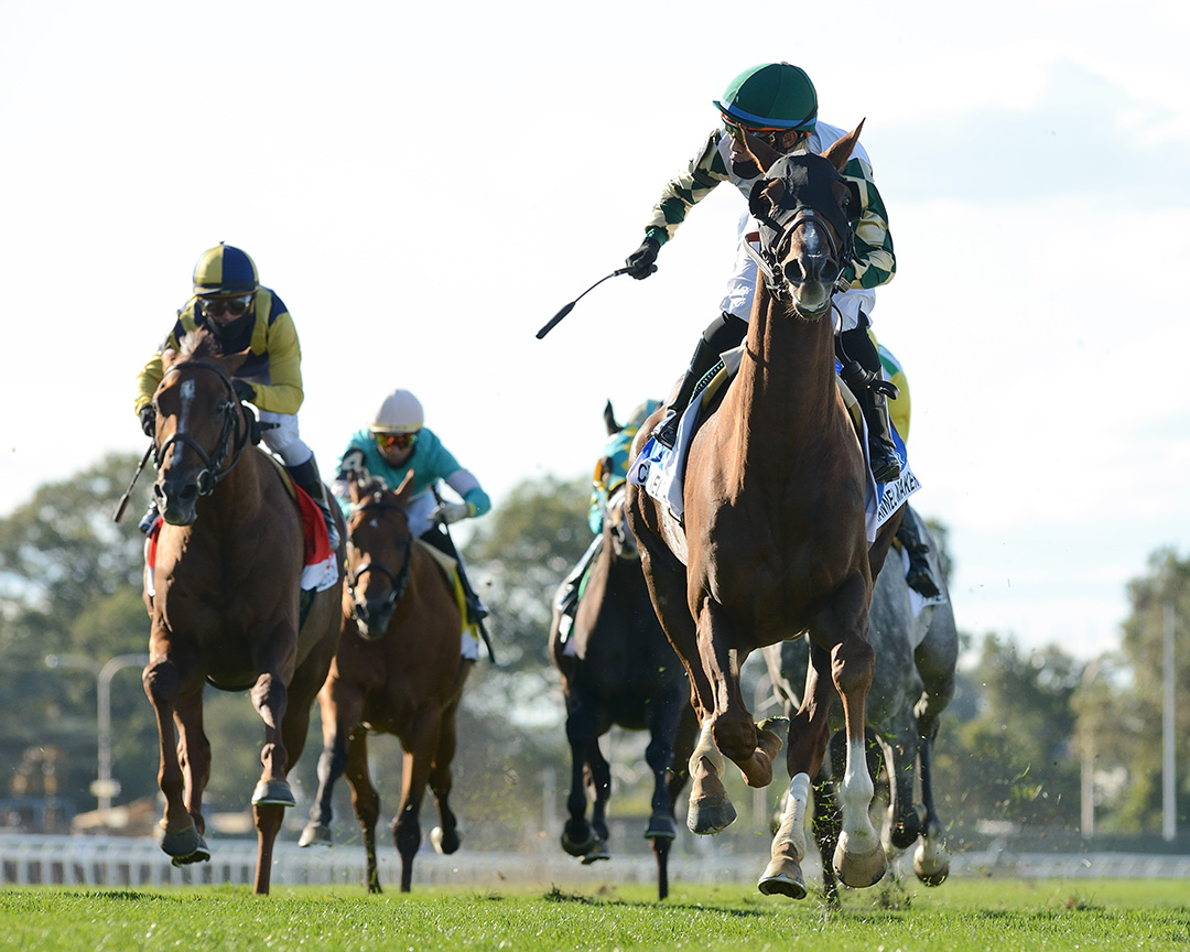 Channel Maker wins Hirsch Turf Classic 10-3-2020