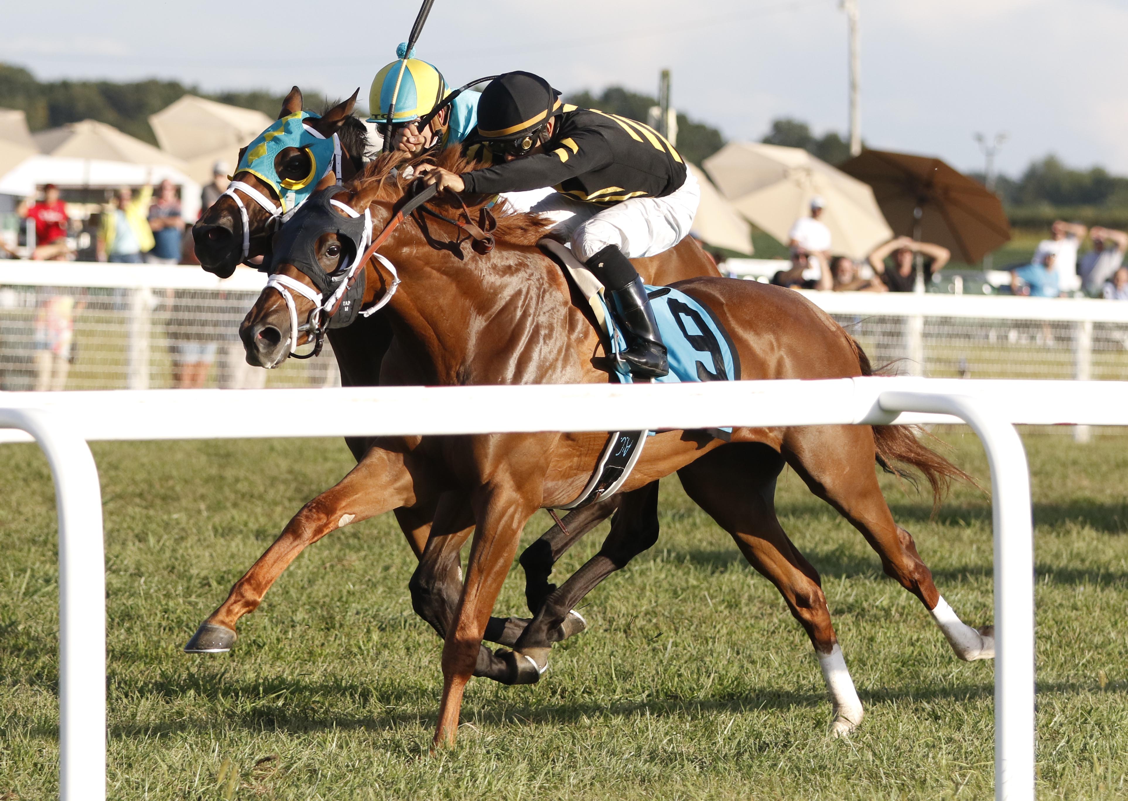 Channel Cat (No. 9) wins the 2018 Dueling Grounds Derby