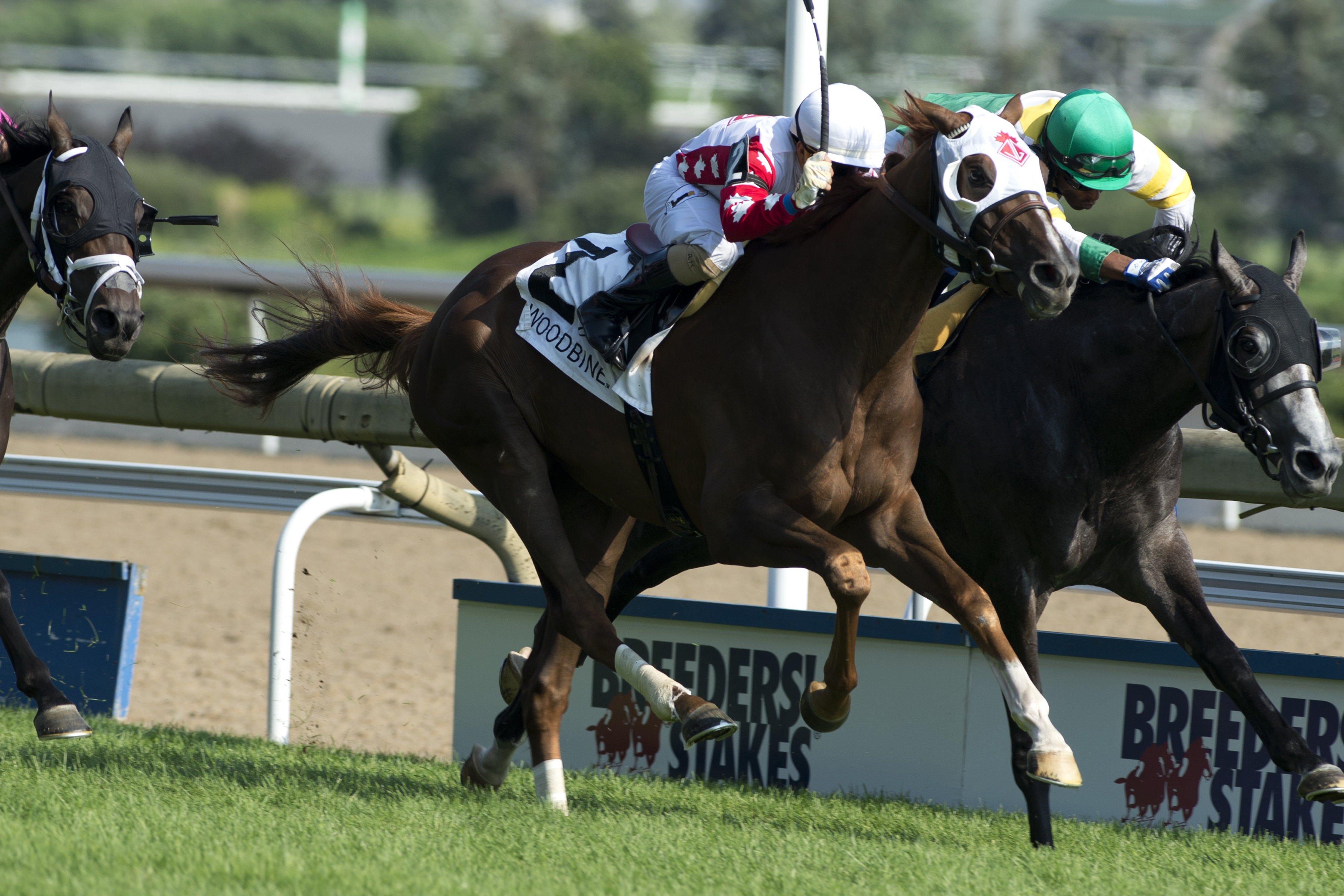 Channel Maker (#2) wins the Breeders' Stakes at Woodbine 8.20.17