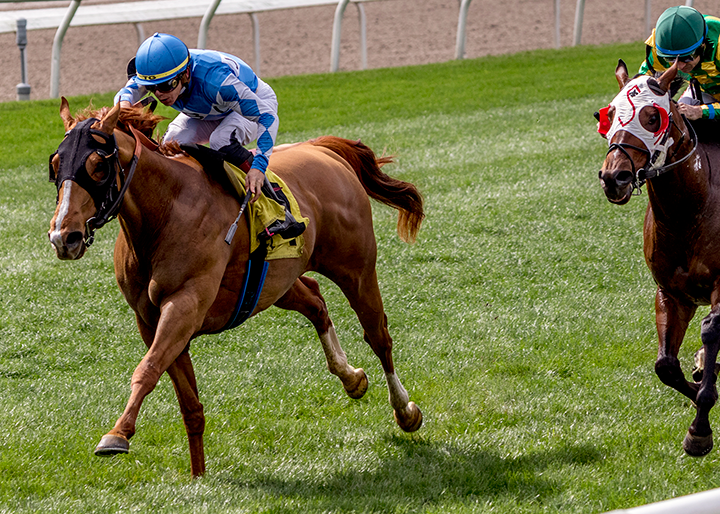 Chaos Theory wins the 2019 Colonel Power Stakes at Fair Grounds