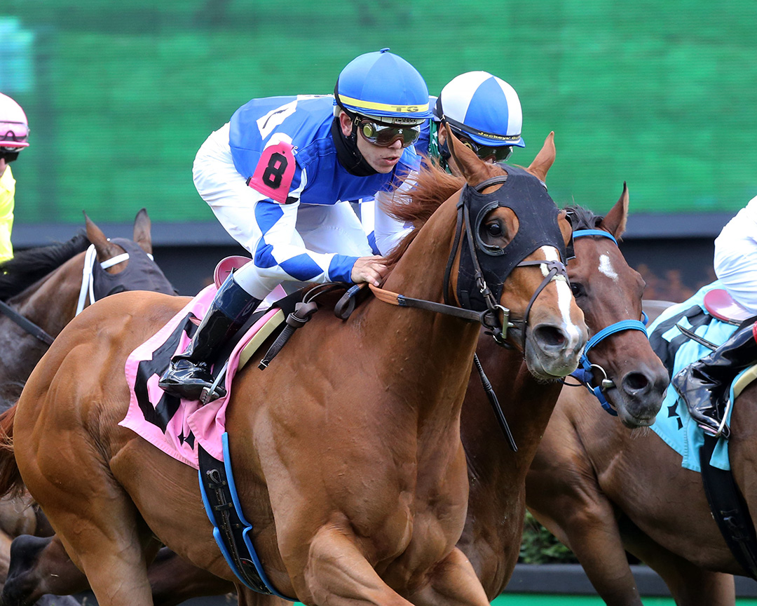 Chaos Theory wins a June 14 allowance at Churchill Downs