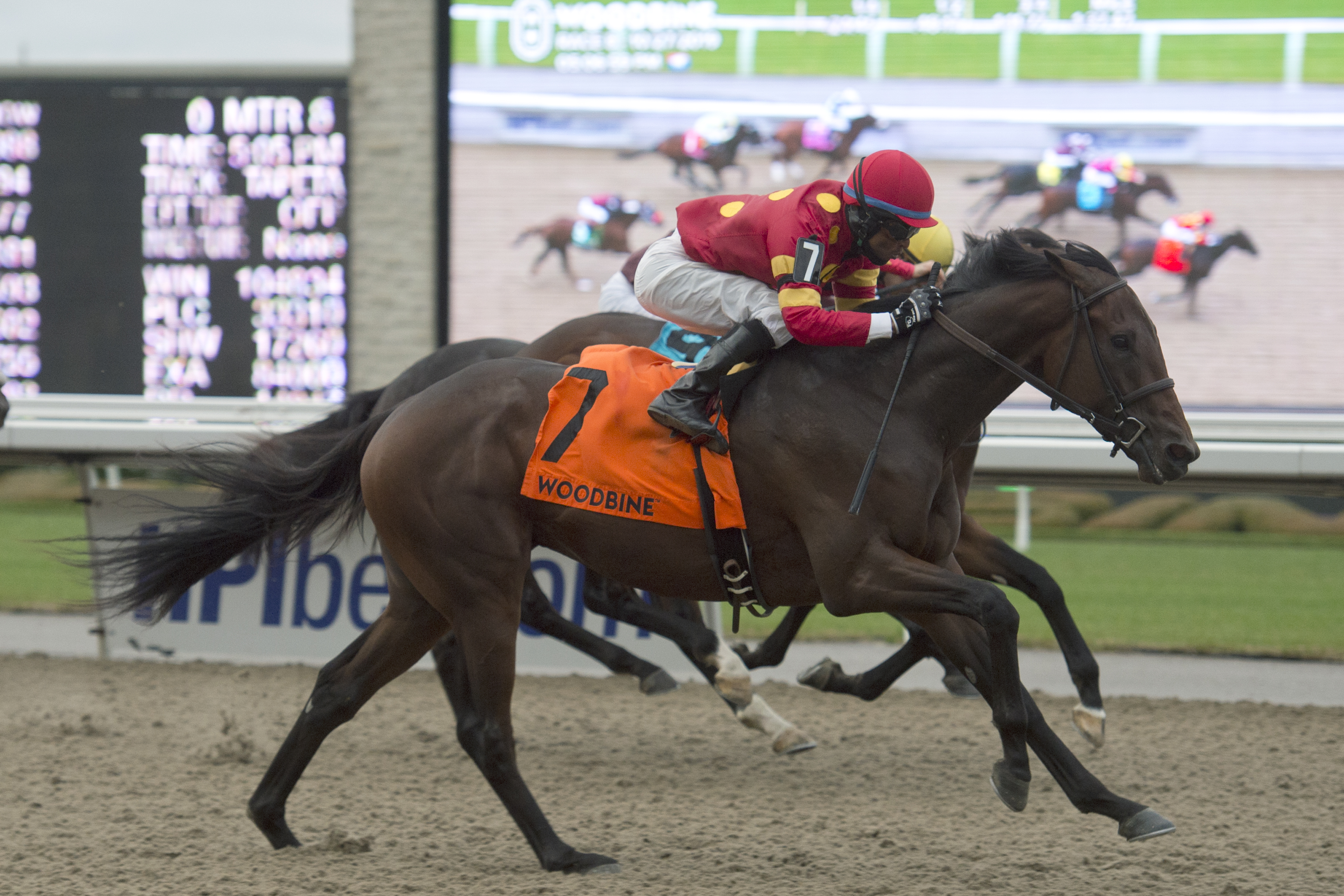 Chapalu wins the 2019 Grey Stakes