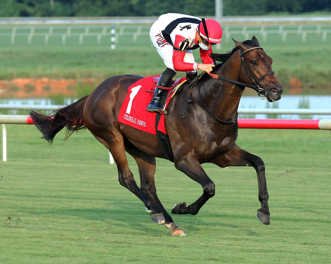 Chaps wins an August 2020 allowance at Colonial Downs