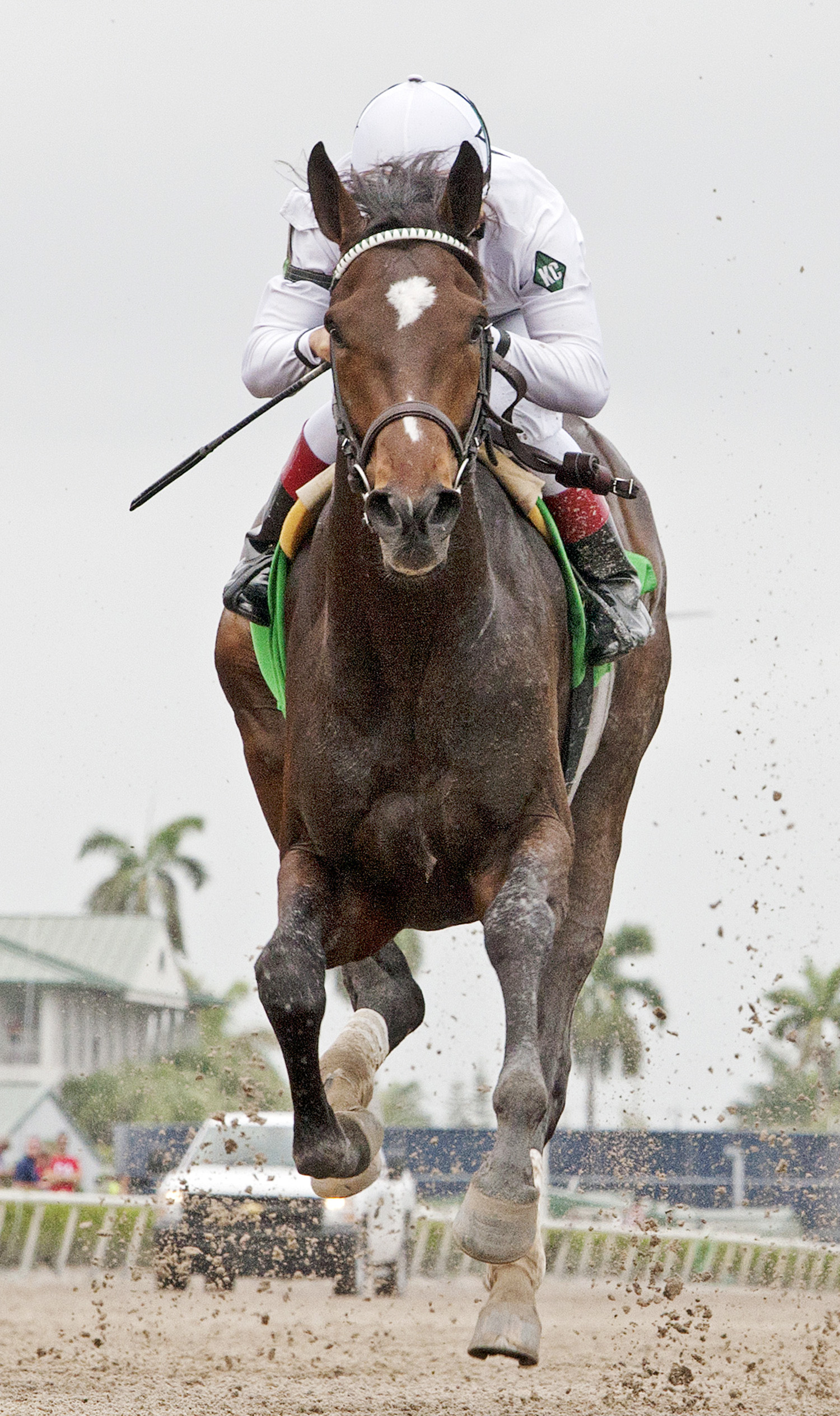 Charge Now wins a maiden race