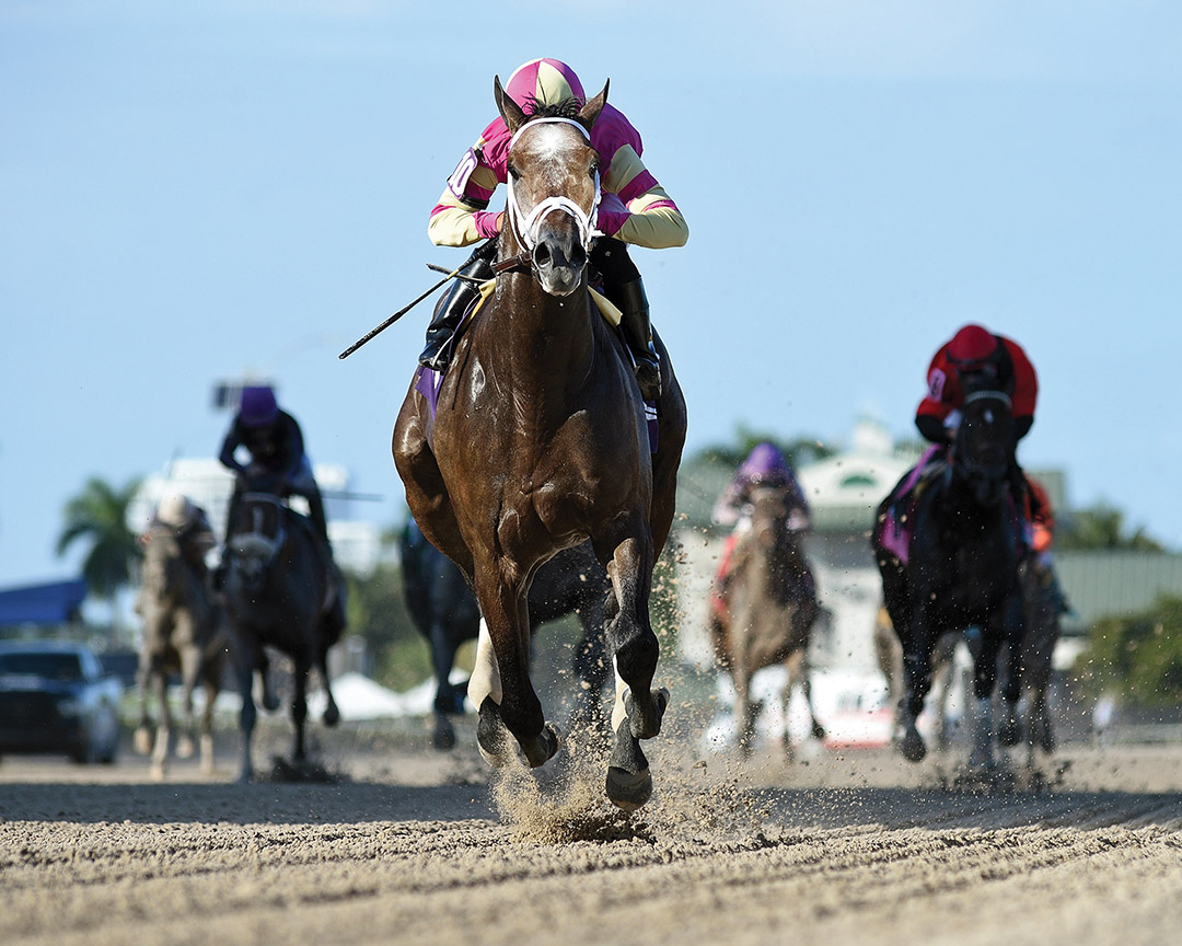 Charge It wins a Feb. 12 maiden at Gulfstream Park