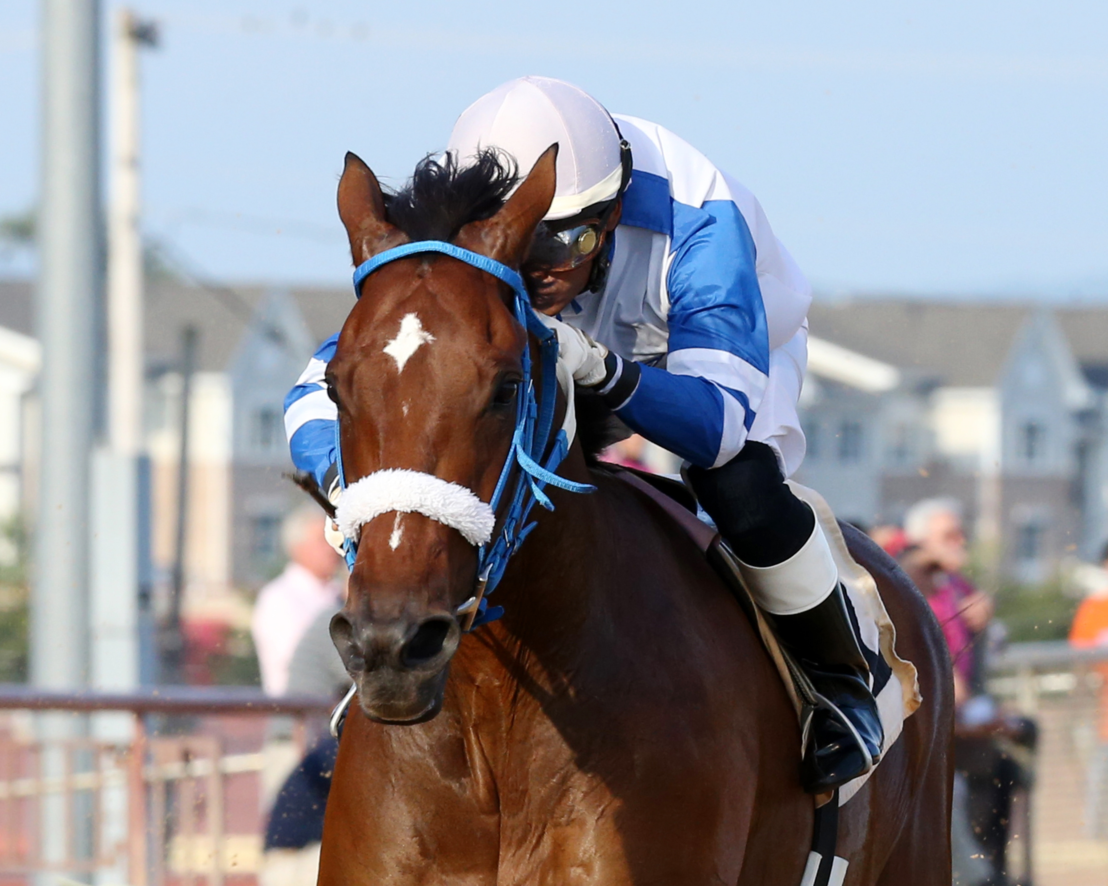 Charitable Annuity wins the Roger Ramey Handicap