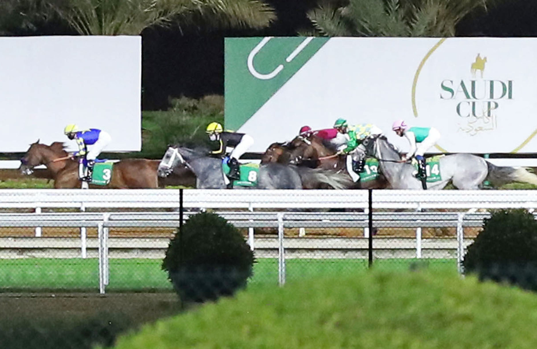 Charlatan/Saudi Cup