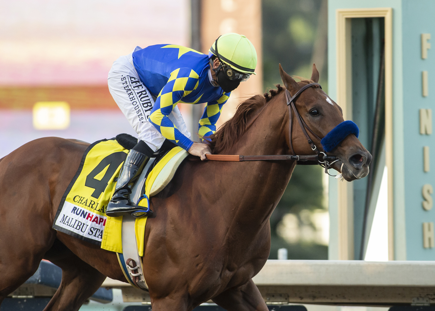 Charlatan - Favorito en la Saudi Cup