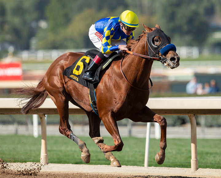 Charlatan wins a Feb. 16 maiden race at Santa Anita Park