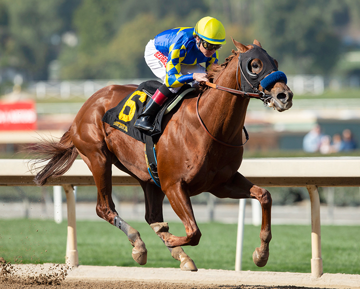Charlatan wins a Feb. 16 maiden race at Santa Anita Park