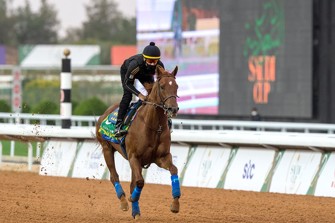 Charlatan trains at King Abdulaziz Racetrack on Feb. 18