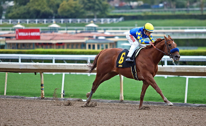 Charlatan wins a March 14 allowance race at Santa Anita Park