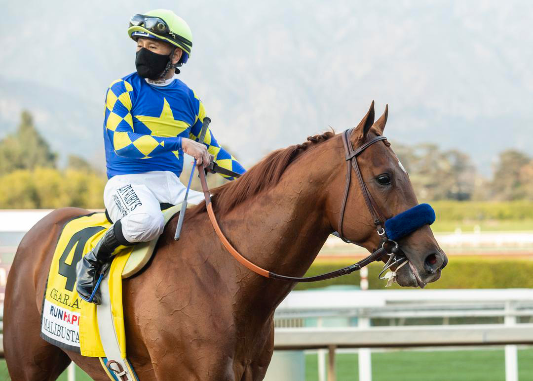 Charlatan at the 2020 Malibu Stakes at Santa Anita