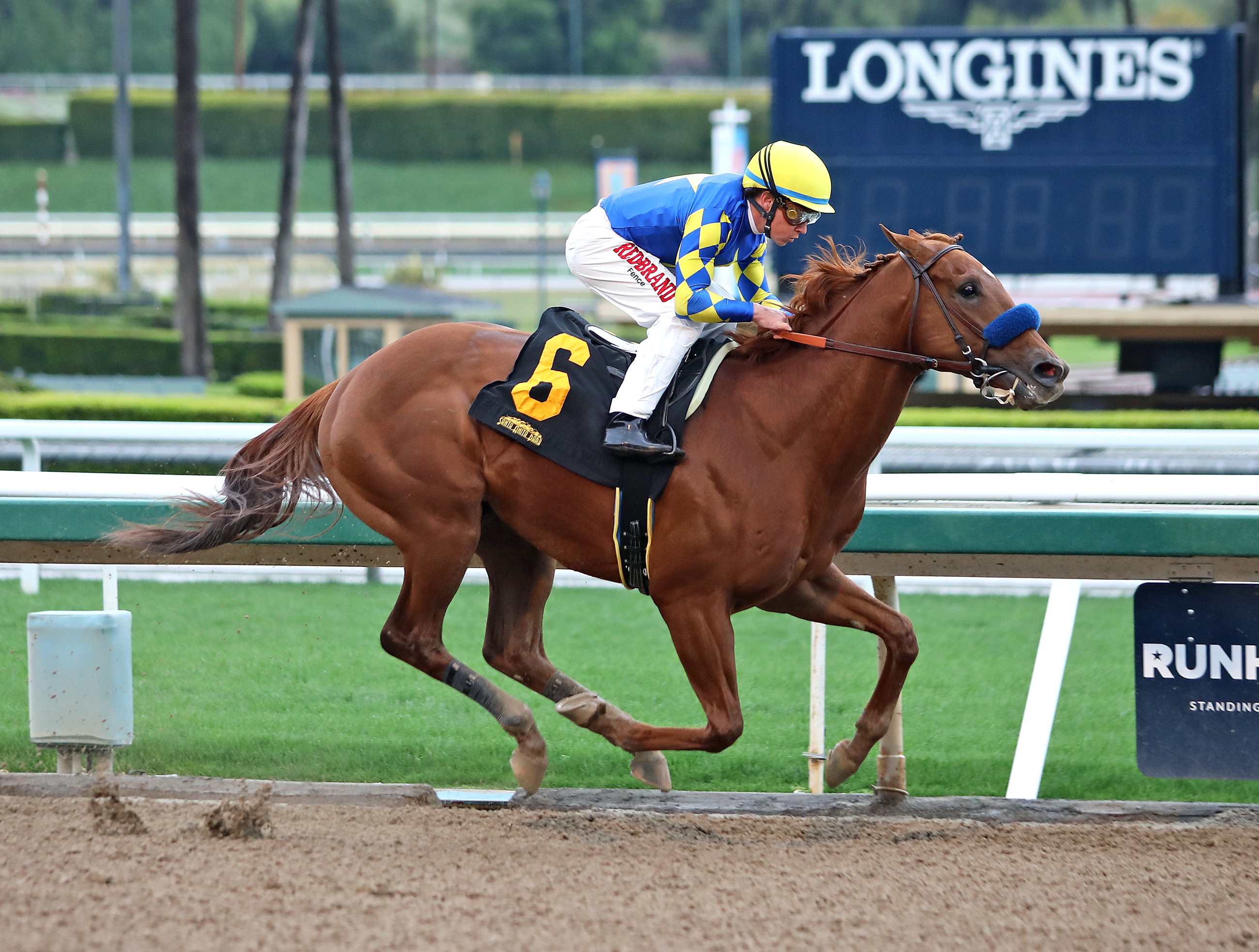 Charlatan wins a Santa Anita allowance race on 3.14.20