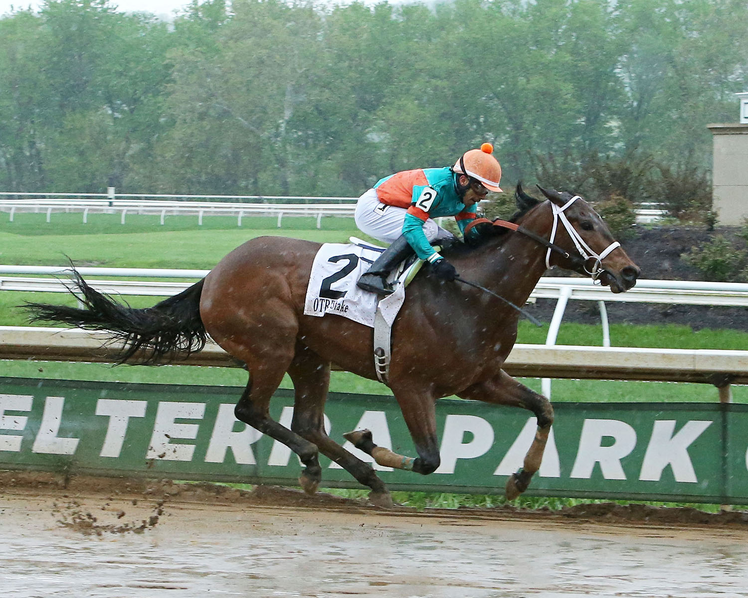 Charlee-s Magic wins the Tall Stack Stakes