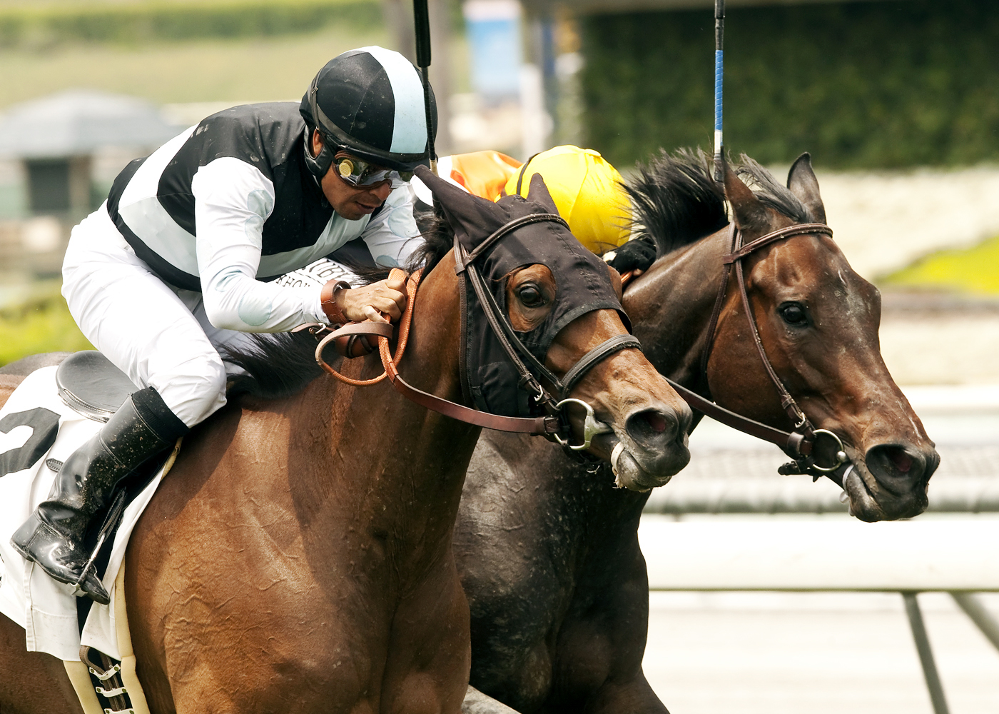 Charlie Em wins the Possibly Perfect Handicap