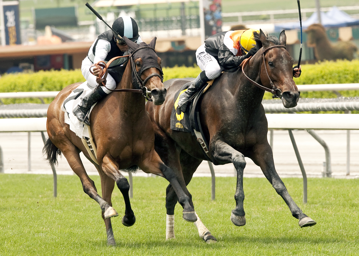 Charlie Em wins the Possibly Perfect Handicap