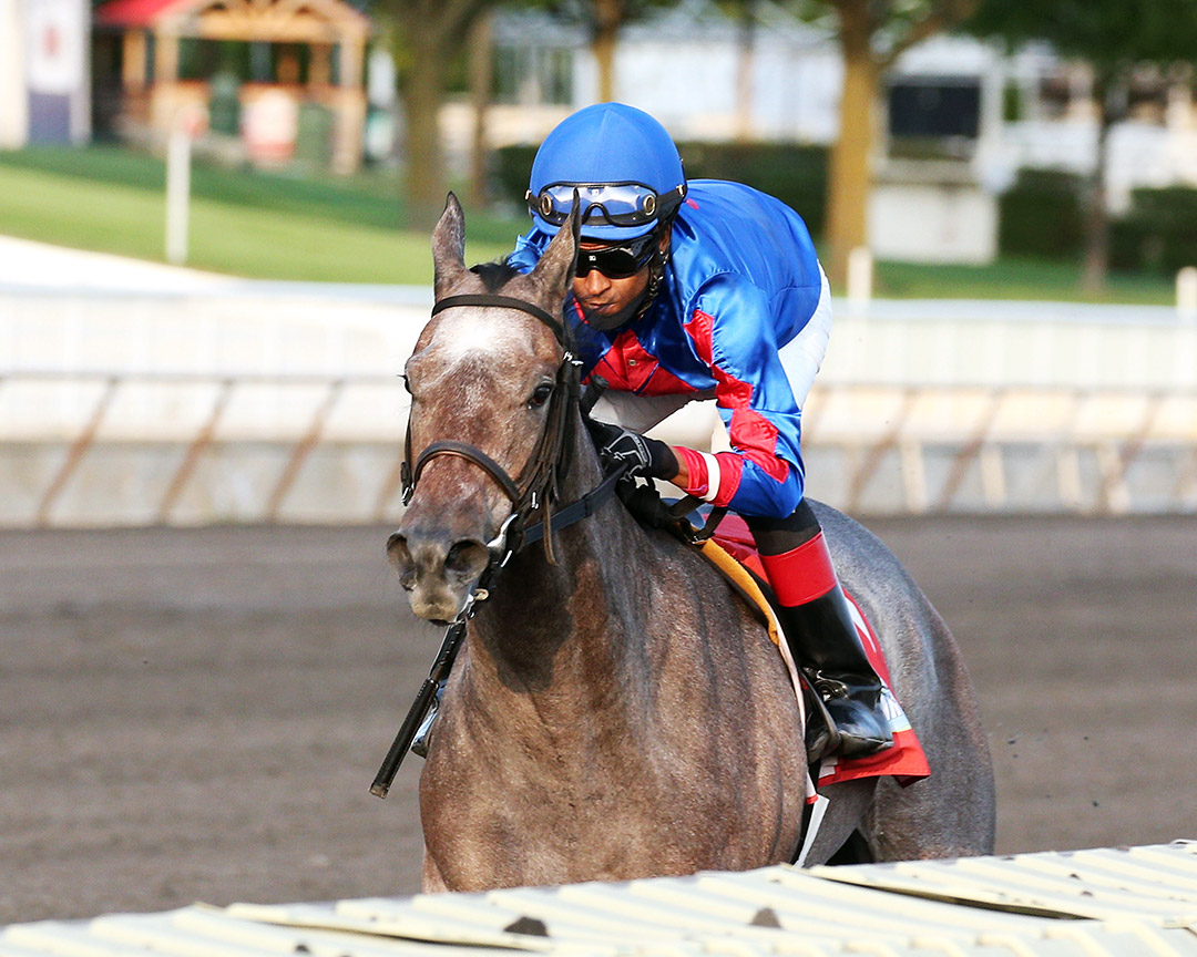 Charlie's Penny wins a maiden race at Arlington Park on Sept. 17