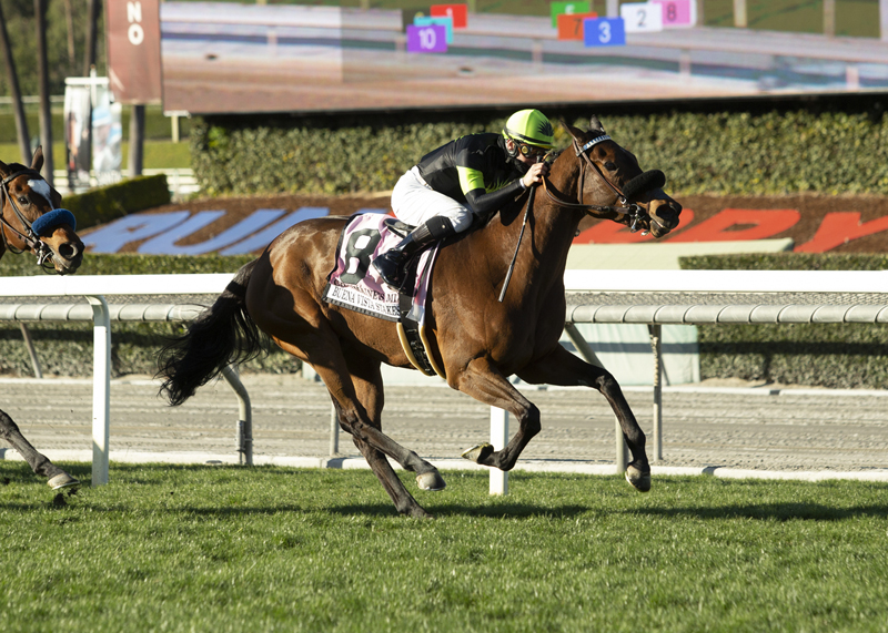Charmaine's Mia wins Buena Vista 2-20-2021