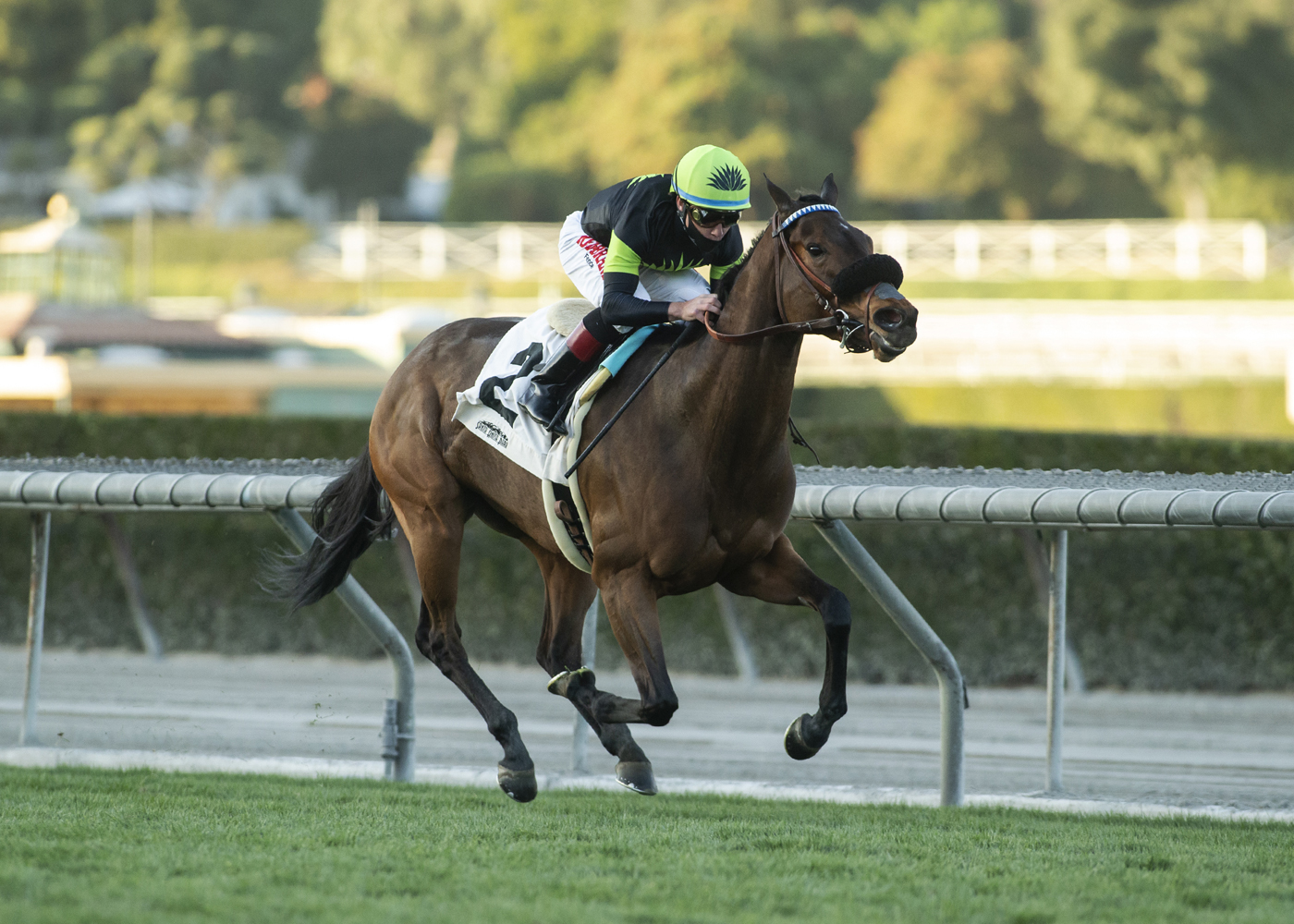 Charmaine's Mia wins Las Cienegas 1-9-2021