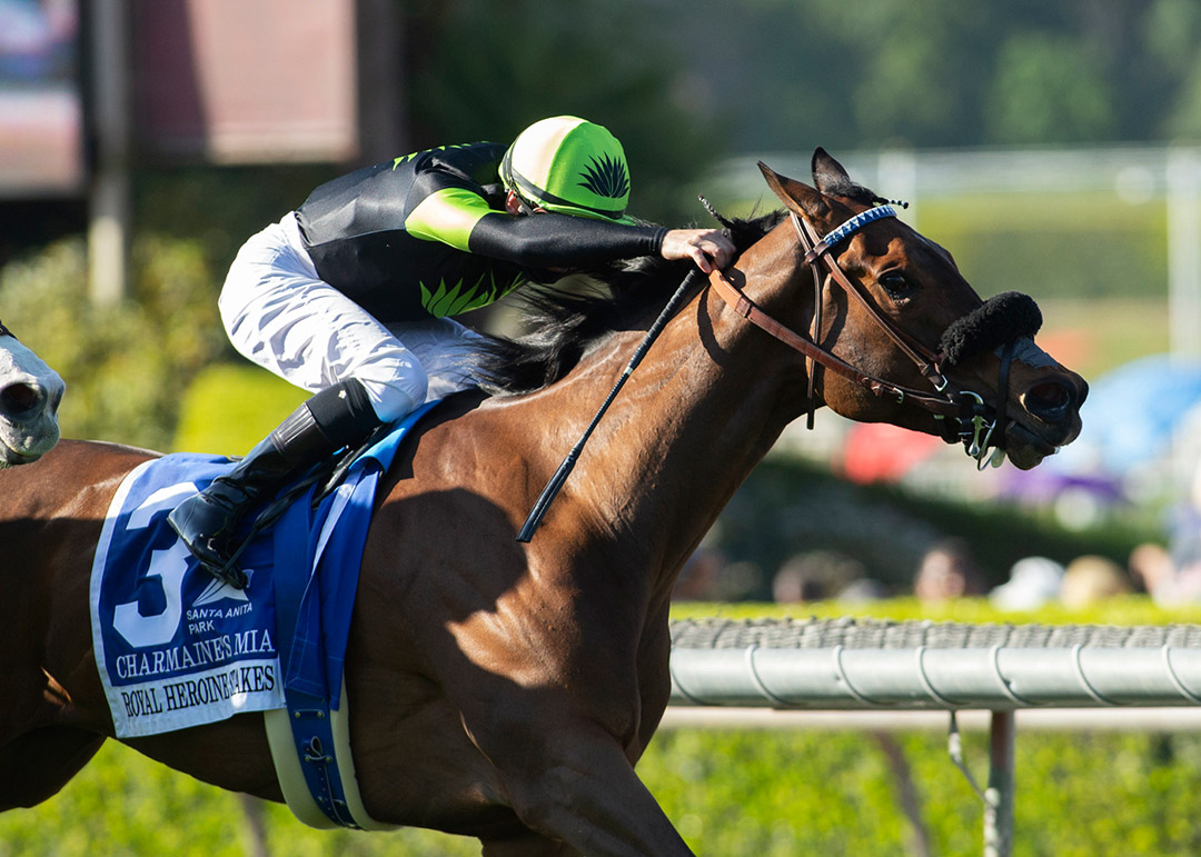 Charmaine's Mia wins the Royal Heroine Stakes at Santa Anita