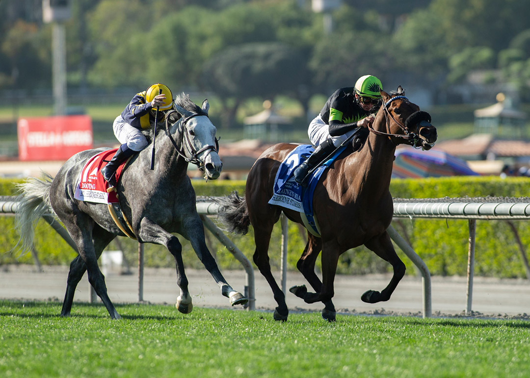 Charmaine's Mia wins the 2021 Royal Heroine Stakes at Santa Anita