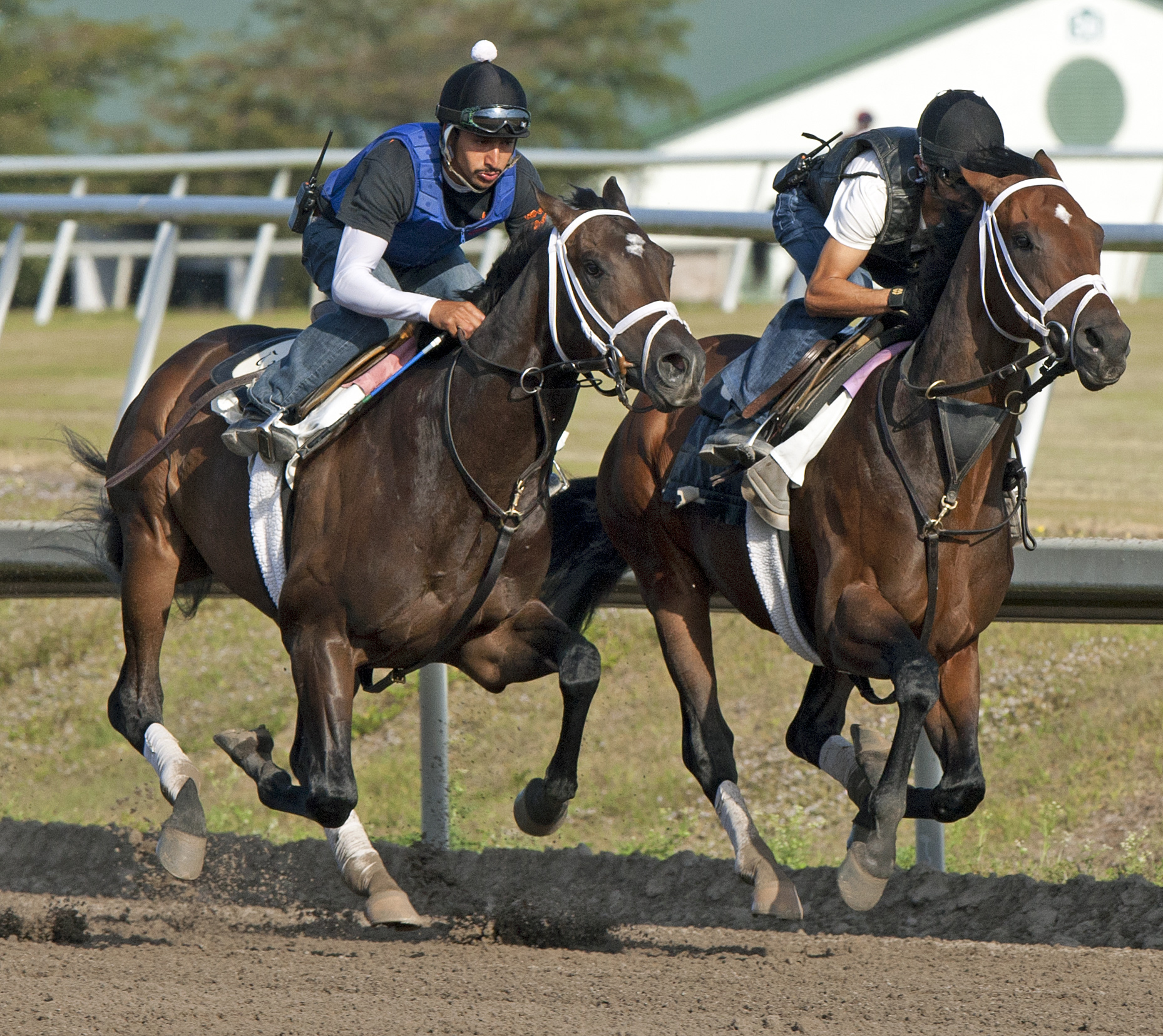 Charming Kitten/Overanalyze 3-31-2013