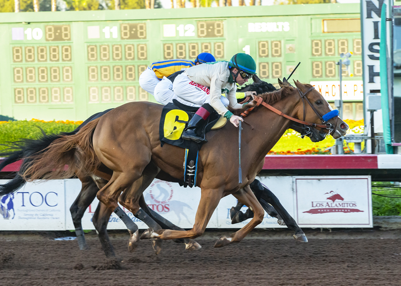 Chasing Yesterday (no. 6) wins the 2018 Starlet Stakes