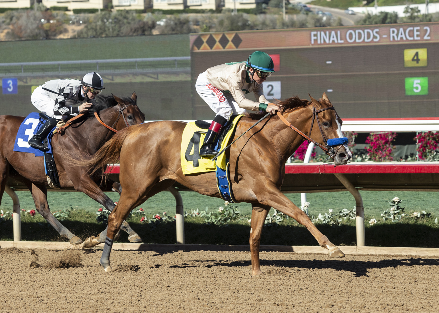 Chasing Yesterday/Desi Arnaz