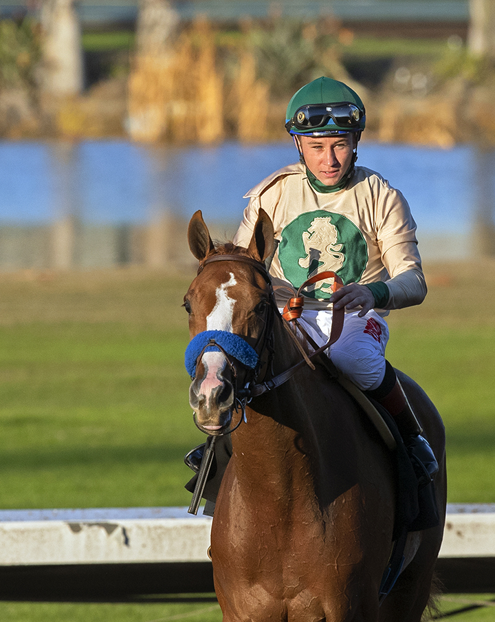 Chasing Yesterday after winning the Starlet Stakes