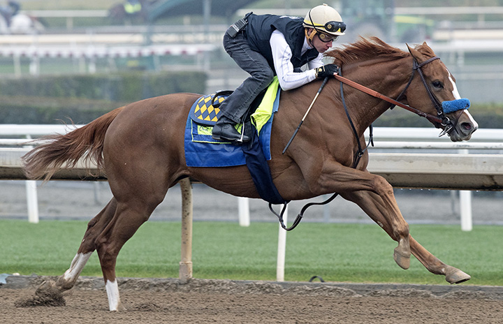 Chasing Yesterday trains at Santa Anita on Feb. 28