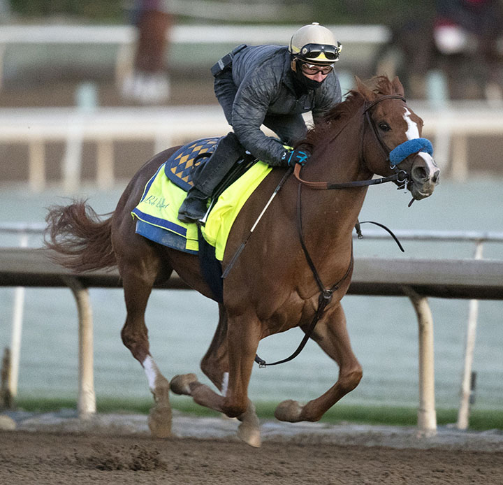 Chasing Yesterday trains at Santa Anita on Feb. 8